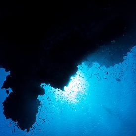 Silhouette of reef with freedivers by Eric van Riet Paap