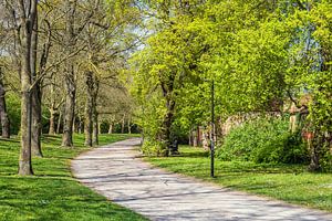 Weg an der Stadtmauer in der Hansestadt Rostock