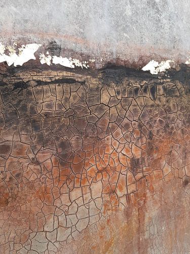 Textuur van gebarsten aarde