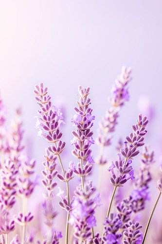 Ethereal purple waves