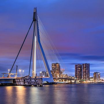 Erasmus bridge Rotterdam at colorful twilight  by Tony Vingerhoets