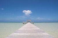 Paradise