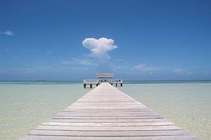 Paradies
