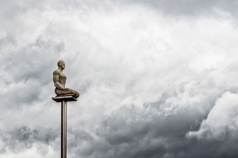 Lonely at the top van Ellen van Schravendijk