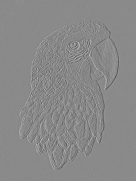 Papegaai ( tekening ) in steeneffect