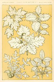 Owen Jones' berühmtes Werk Die Grammatik des Ornaments aus dem 19. Jahrhundert