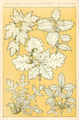 Owen Jones's famous 19th Century The Grammar of Ornament