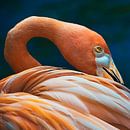 Orange flamingo, oranje vogel van Corrine Ponsen thumbnail