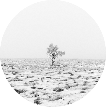 Winter wonderland in de Ardennen  van Lukas De Groodt
