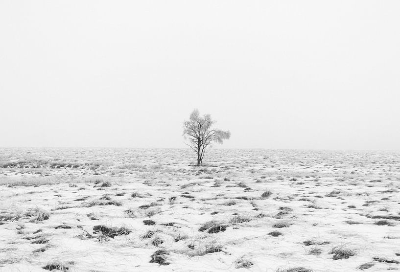 Winterwunderland in den Ardennen  von Lukas De Groodt