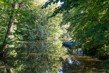 Blaue Boote im Grünen von Author Sim1