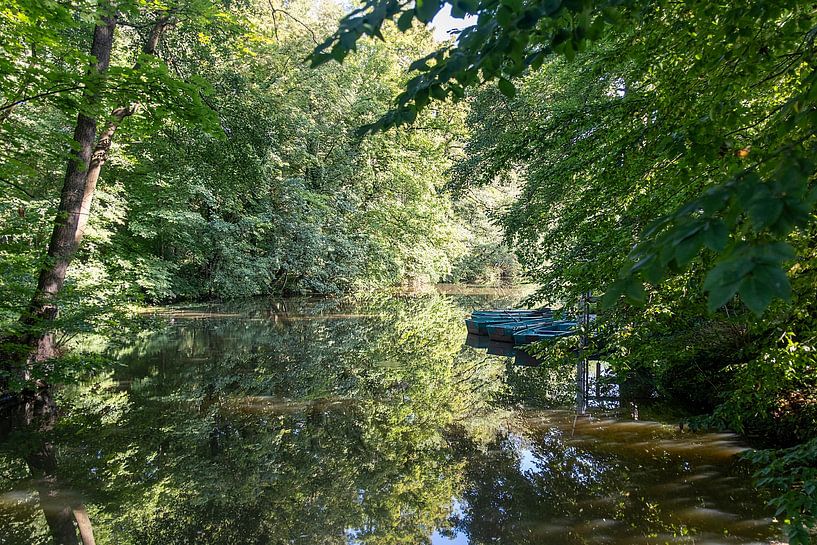 Blaue Boote im Grünen von Author Sim1