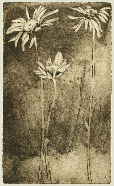 Orakel Bloem, Ets van Helga Pohlen - ThingArt