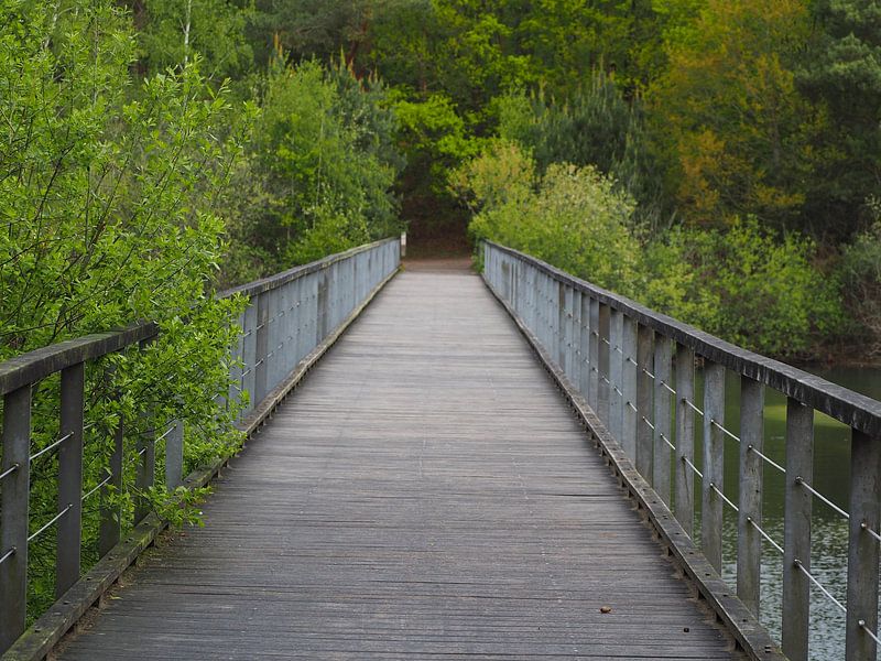 Brücke von @Unique