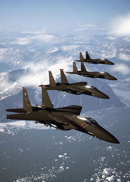 Soaring Above the Ice by Silvina Khan