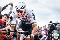 Mathieu van der Poel gewinnt Paris Roubaix von Leon van Bon Miniaturansicht