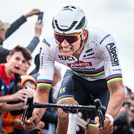 Mathieu van der Poel wint Parijs Roubaix van Leon van Bon