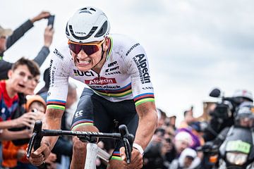 Mathieu van der Poel wins Paris Roubaix