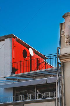 Rot im Licht von Jarne van Laar