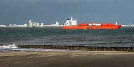 Westerschelde von Mario de Lijser