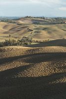 prachtig heuvellandschap van de Toscane in het avondlicht
