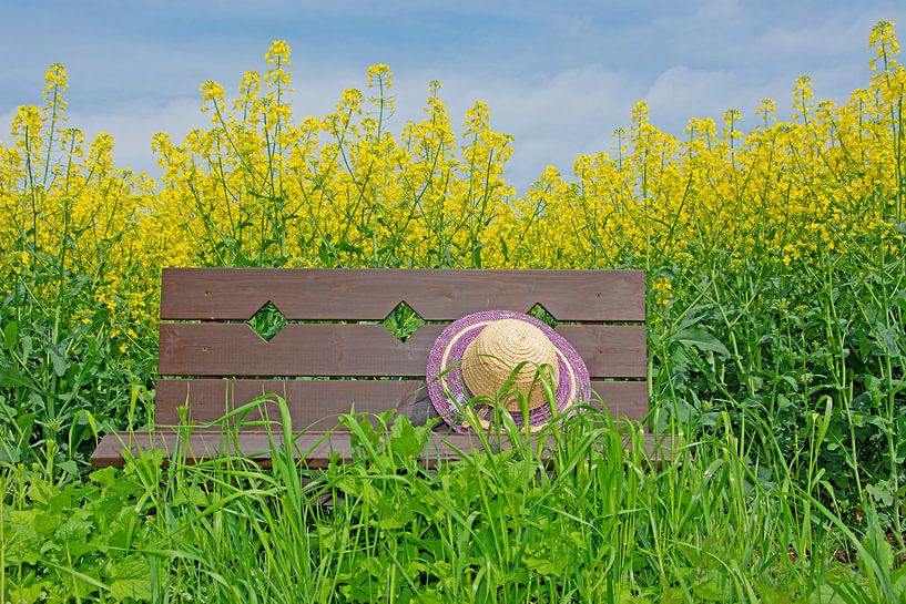 Wooden bench by Michael Schuppich