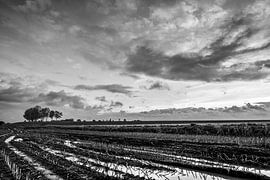 Akker bij Macheren, Noord-Brabant in de winter von Wouter Bos