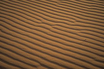 Structures in the sand in Morocco's dunes by Tobias van Krieken