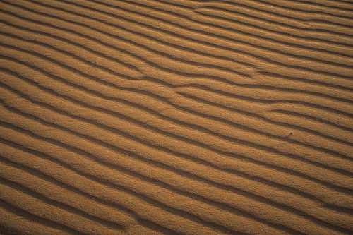 Structuren in het zand in de duinen van Marokko