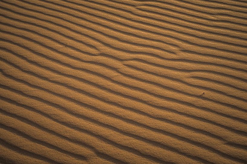 Strukturen im Sand in den Dünen Marokkos von Tobias van Krieken