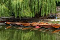 Punt