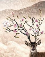 Hirsche mit Magnoliengeweih
