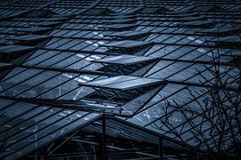 Westland symmetry of greenhouses in black and white.