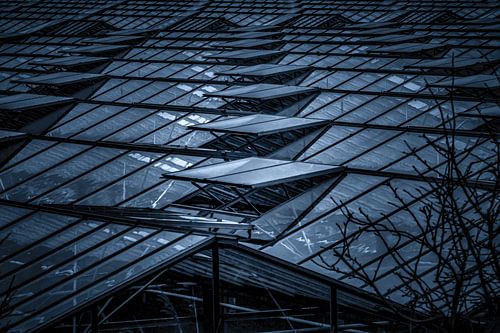 Westland symmetrie van kassen in zwart wit.