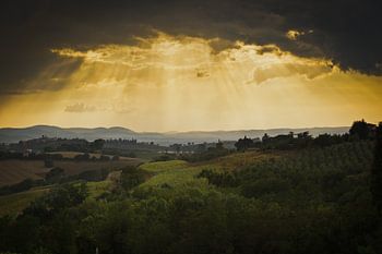 Des rayons de soleil dorés