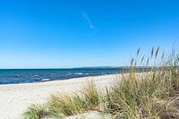 Duinen op het strand in Glowe op Rügen, Schaabe