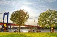 Molenweide bij de haven in Duisburg-Ruhrort (7-38543) van Franz Walter thumbnail
