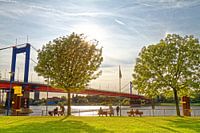 Molenweide bij de haven in Duisburg-Ruhrort (7-38543)