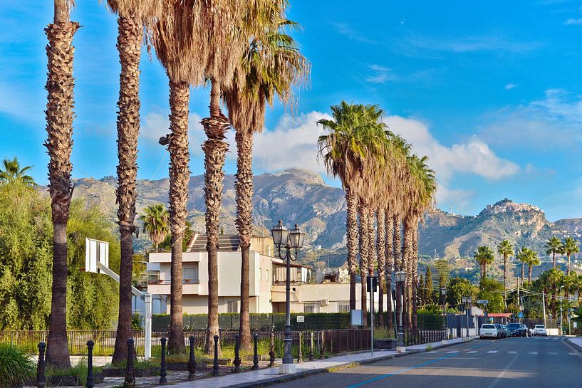 Stolze Palmen mit Berglandschaft in Giardini-Naxos von Silva Wischeropp
