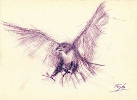 Eagle