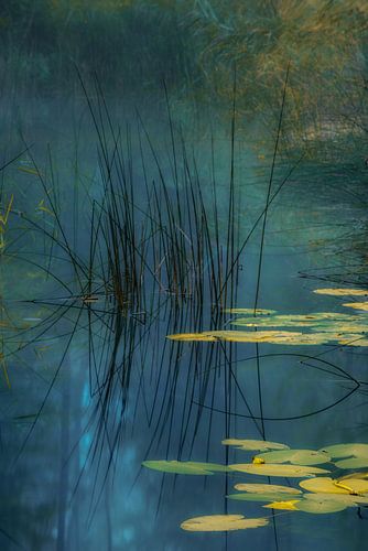 Aqua von Andreas Agazzi