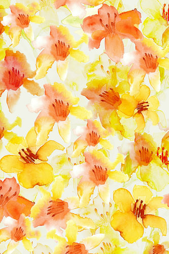 Golden Summer Blooms