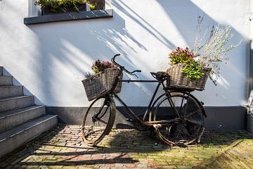 Flower Bicycles