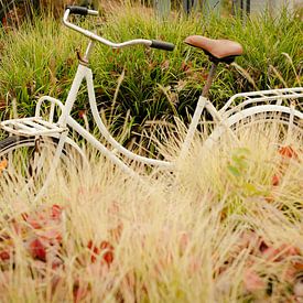 Student bike in autumn picture. by Gerhard Nel