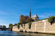 Blick auf die Kathedrale Notre-Dame in Paris, Frankreich van Rico Ködder thumbnail