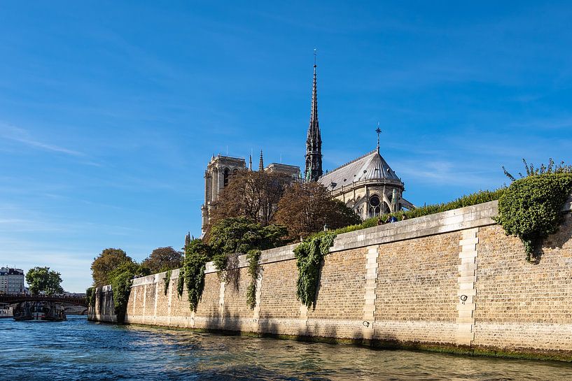 Blick auf die Kathedrale Notre-Dame in Paris, Frankreich van Rico Ködder