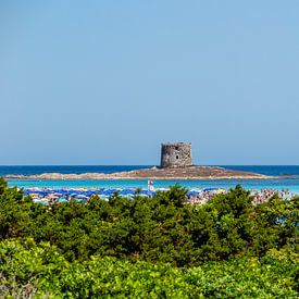 Torre della Pelosa op Sardinie van Eric van Nieuwland