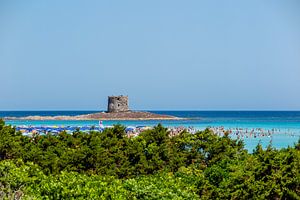 Torre della Pelosa auf Sardinien