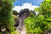 Landschaft auf der Seychellen Insel La Digue von Reiner Conrad Miniaturansicht
