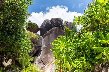 Landschap op het Seychelse eiland La Digue van Reiner Conrad